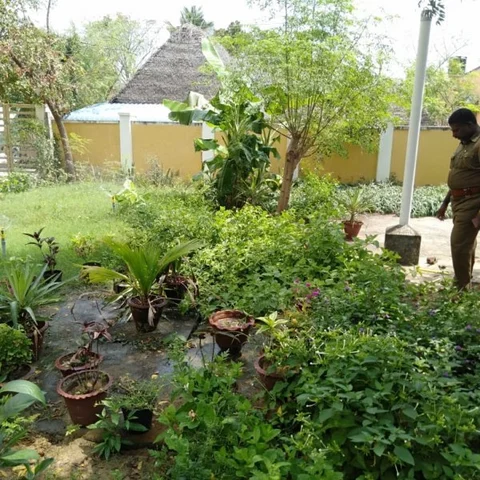 திருநள்ளாறு காவல் நிலையத்தில் மூலிகைத் தோட்டம் - காவலர்களின் அசத்தல் முயற்சி!