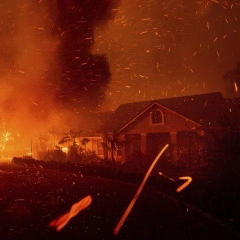 காவு வாங்க காத்திருக்கும் காட்டுத்தீ... தமிழக காடுகளின் பேரபாயம்! #Wildfire