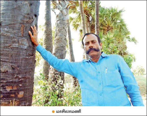 இப்படியும் பண்ணலாம் விவசாயம்… அசத்தும் தமிழக விவசாயிகள்!
