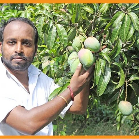 18 Lakhs from 35 Acres ... Innovation in Agriculture through Internet..!