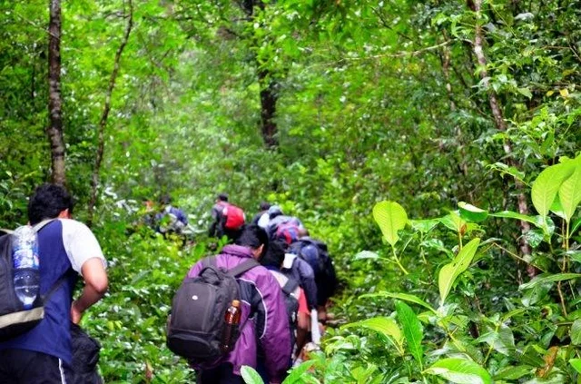 டால்பின் நோஸ், பெருமேடு, தடா... ஓரிரு நாளில் டிரெக்கிங் முடிக்க ஏற்ற இடங்கள்!