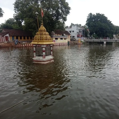 கஜா புயலால் பொலிவிழந்தது காவிரி துலாக்கட்ட கடைமுகத் தீர்த்தவாரி பெருவிழா!