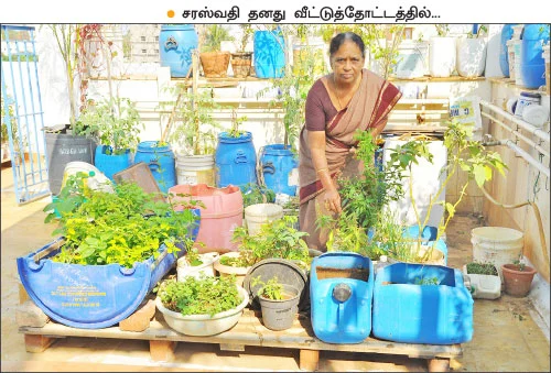 வீட்டுக்குள் விவசாயம் - 2