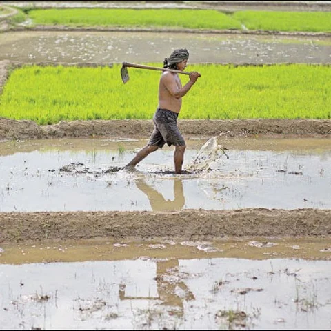 From farmer's land to vegetable market... Must know info about agri supply chain..! - Part 9