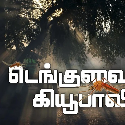 ‘கொசு வளர்த்தால் அபராதம்’ எப்போது வந்தது? - டெங்குவை வென்ற கியூபாவின் கதை- அத்தியாயம் 5