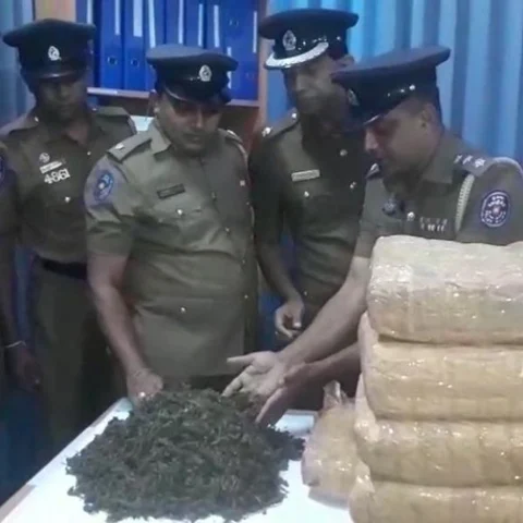 நடுக்கடலில் சுற்றிவளைக்கப்பட்ட படகு! - 110 கிலோ கஞ்சாவுடன் இலங்கையைச் சேர்ந்த 3 பேர் கைது