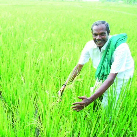 'தமிழர்களின் பாரம்பர்ய ரகங்களை தேடித்தேடிச் சேகரித்தவர்!' - நெல் ஜெயராமன் நினைவலைகள்
