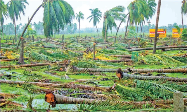இயற்கை விவசாய மகசூல்: 5 நிமிட வாசிப்பில் பசுமை விகடன் 10 பகுதிகள்!