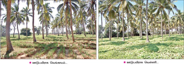 இங்கே... லாபத்தோடு, சந்தோஷமும் அறுவடையாகிறது...