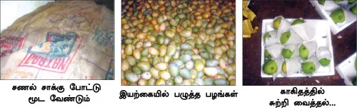 'இயற்கை யுக்திகள்' இருக்க... 'கார்பைட் கல்' எதற்கு?