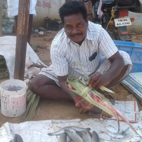 ``மீண்டும் பனை ஓலைக்கே மாறலாமே!’’ - எவர் க்ரீன் டெக்னிக்கை தூசிதட்டிய மீன் வியாபாரி