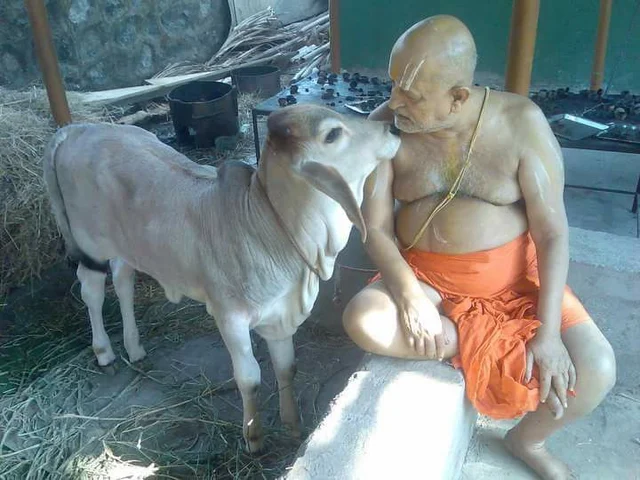 ஸ்ரீரங்கம் ஸ்ரீமத் ஆண்டவர் மடத்தின் ஸ்ரீரங்க ராமாநுஜ மகா தேசிகர் காலமானார்!