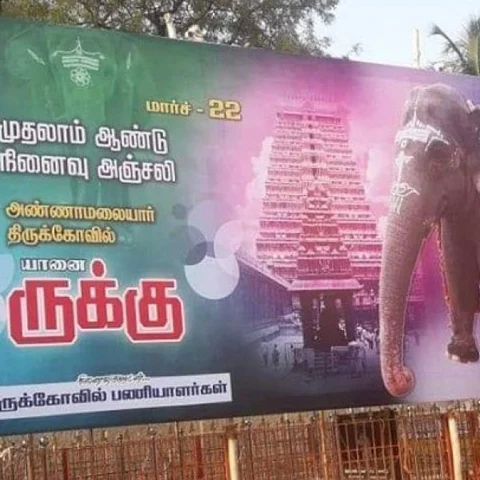 திருவண்ணாமலை கோயில் யானையின் ஓராண்டு நினைவு தினம் ! - துக்கம் அனுசரித்த கோயில் நிர்வாகம்