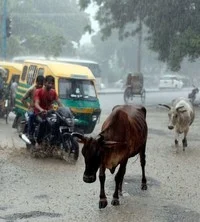 பாபநாசத்தி்ல் 17 செ.மீட்டர் மழை!
