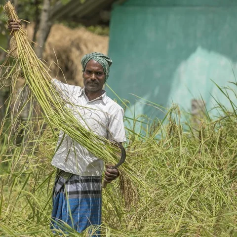 ``மழையே இல்லைனாலும் விவசாயம் செய்வேன்!” - கழிவு நீரில் விவசாயம் செய்யும் அரியலூர் விவசாயி