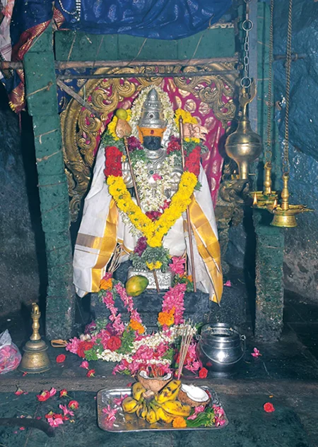 தைப்பூச சிறப்புகளுடன் 6 நிமிட வாசிப்பில் சக்தி விகடனின் 9 பரவசப் பகுதிகள்!