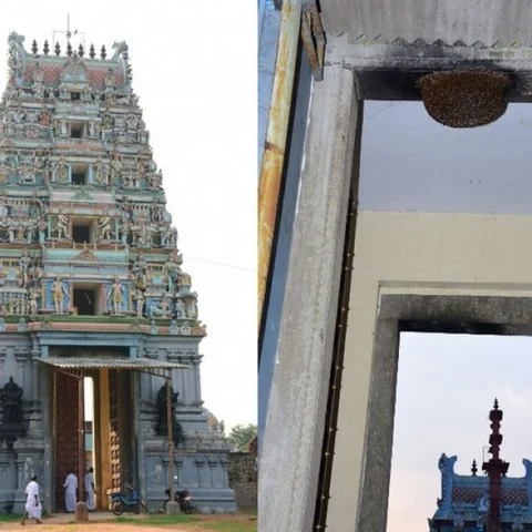 பக்தர்களை மிரட்டும் ராட்சதத் தேன்கூடு! அலட்சியம் காட்டும் அதிகாரிகள்