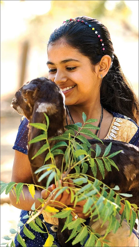 விமர்சனங்களை எதிர்கொள்கிற வயது - ஆனந்தம் விளையாடும் வீடு - 24