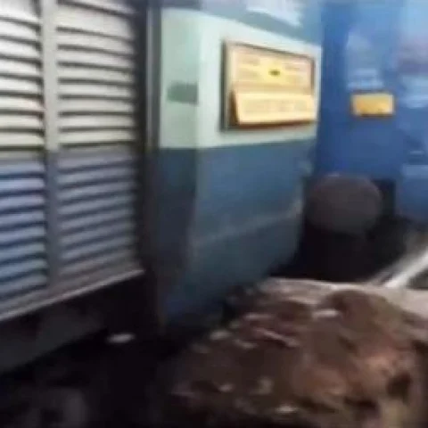 சென்னை - மங்களூர் ரயில் சொர்னூரில் தடம்புரண்டது! - ரயில்கள் பாதியில் நிறுத்தம்