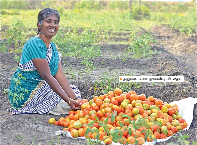 மகசூலும் லாபமும்: பசுமை விகடன் 13-ம் ஆண்டு சிறப்பிதழின் பலன்மிகு 13 அம்சங்கள்!