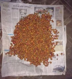 நம்பிக்கை விதைக்கும் அப்துல் கலாமின் ரசிகர்கள்!