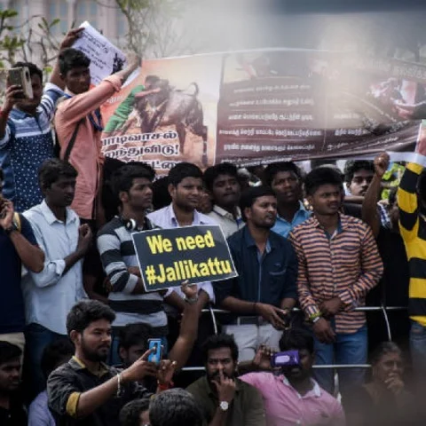 இளம்படையைக் களத்துக்கு அழைத்து வந்த ஜல்லிக்கட்டு..! புரட்சிக் கதை சொல்லும் மாணவர் #2YearOfJallikkattu