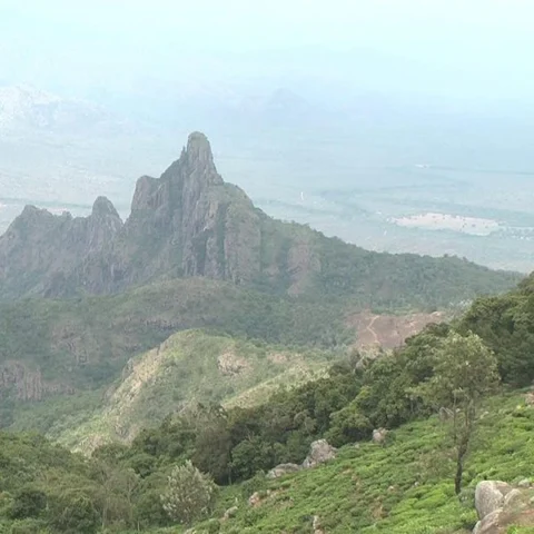 நீலகிரி மலைகளைப் பாதுகாக்கத் தவறும் 2 காரணங்கள்! #InternationalMountainsDay