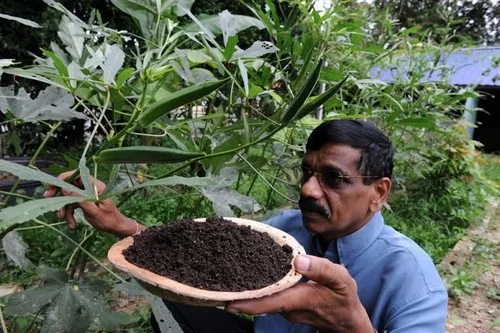 'இயற்கை'யில் ஜெயிக்கும் பினாங்கு... எல்லாப்புகழும் நம்மாழ்வாருக்கே...!