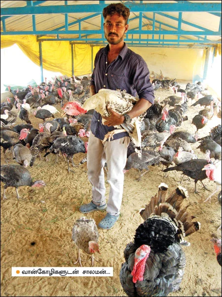 விகடன் போஸ்ட்: ஆபாச வீடியோ... தேவை அதிக கவனம், 'அ.தி.மு.க அணிக்கு ஓட்டு இல்லை!'
