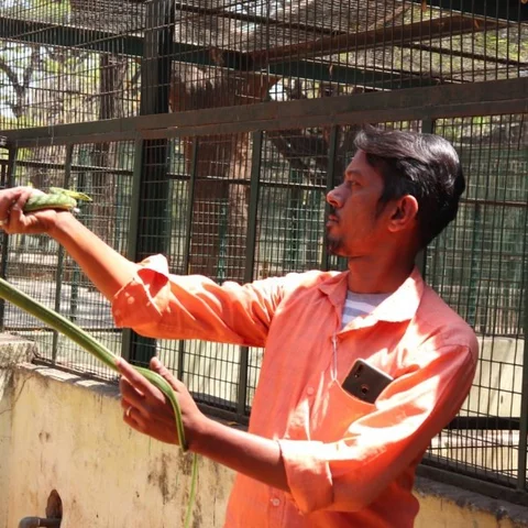 `பாம்புகளை வச்சு இப்படியெல்லாம் சீரியல், படம் எடுக்காதீங்க; ஏன்னா...' - ஸ்நேக் அமீன்
