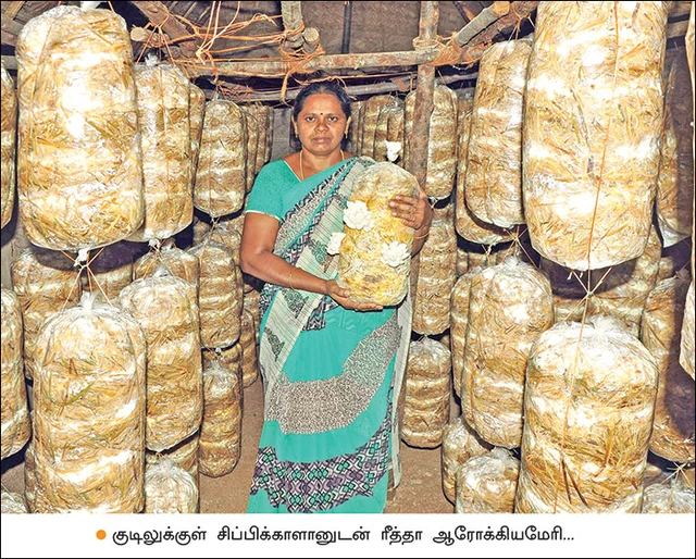 விகடன் போஸ்ட்: 'ரூ.20 டோக்கன் எப்போது?', சோனியா அகர்வாலின் பக்குவம், இனி 'உப்பு முட்டை'!