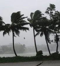 சென்னையில் சூறை காற்றுடன் மழை: கடலூர், நாகையில் புயல் கூண்டு ஏற்றம்