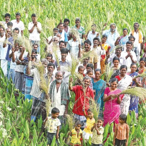 மாற்றுச் சந்தைக்கு மதிப்புக்கூட்டல் முக்கியம்! - விளையும் விலையும்! - 18