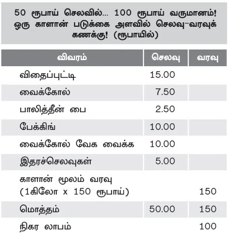 கலக்கலான வருமானம் கொடுக்கும் காளான் வளர்ப்பு!