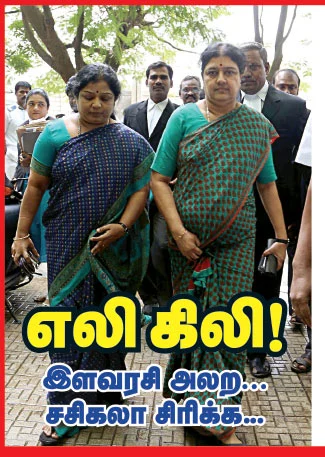 எலி கிலி!