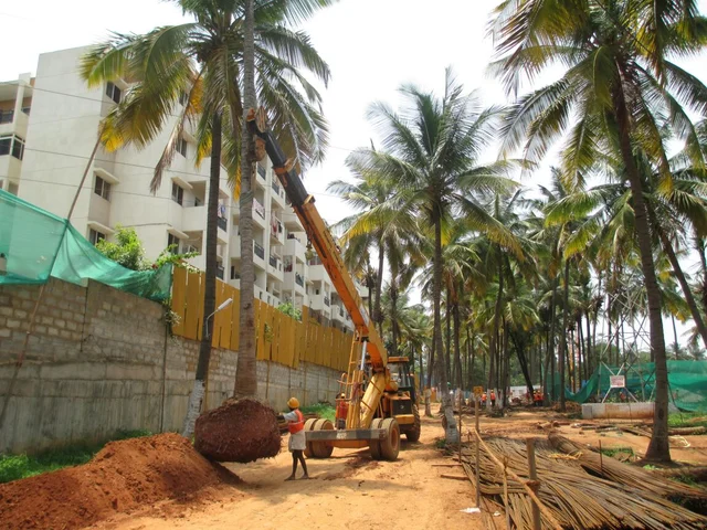 இங்கும்... அங்கும்.... டிராவலாகும் மரங்கள்.... இனி இது சாத்தியம்! #WhereIsMyGreenWorld