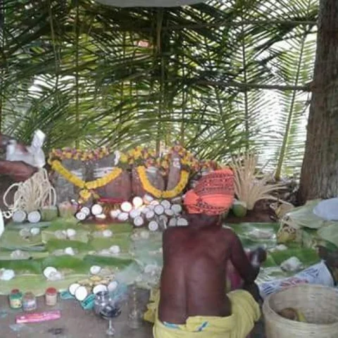ஆண்கள் மட்டுமே பங்கேற்கும் வனபூஜை... எங்கே, ஏன், எதற்கு?
