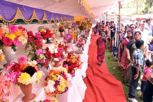 கொடைக்கானலில் மலர் கண்காட்சி துவங்கியது...