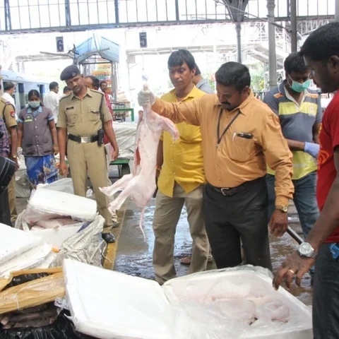 `சென்னையில் பிரியாணி கடைகளுக்கு இறைச்சி எங்கிருந்து வருகிறது?’