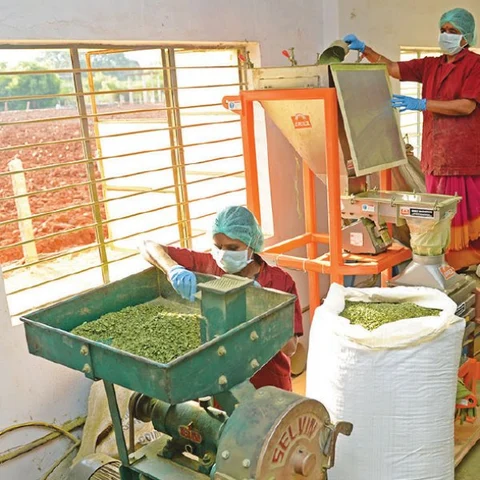 கொஞ்சம் ப்ளஸ்... நிறைய லாபம்! - முருங்கை மதிப்புக் கூட்டலில் முத்தான லாபம்!