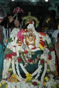 கோலாகலமாக தொடங்கியது கெள மாரியம்மன் திருவிழா! (படங்கள்)