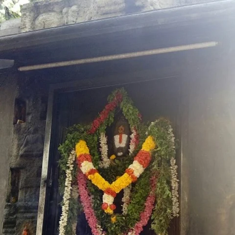 திருப்பதியில் டோக்கன் சிஸ்ட தரிசனத்துக்கு ரிகர்சல்! என்ன நடக்கிறது? #Tirupati