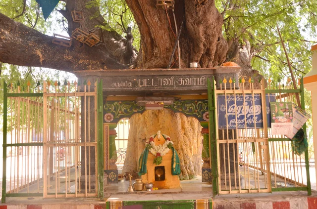 பட்டாணி ராவுத்தர் காவல்காக்கும் ஆதிகோரக்கநாதர்... திருபுவனத்தில் கோயில்கொண்ட சித்த புருஷர்!