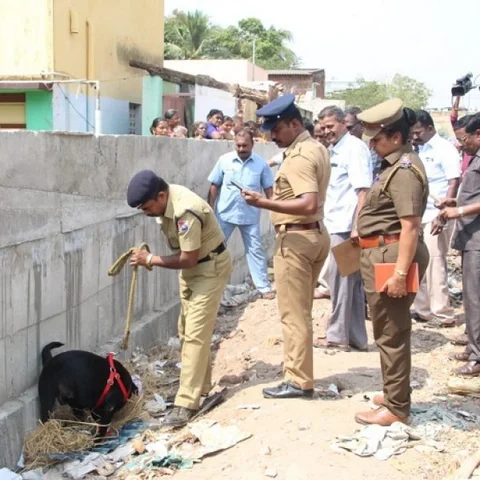 மதுரையில் புதிய ரயில்வே பாதையில் பயங்கர சத்தத்துடன் வெடித்த குண்டு -போலீஸ் விசாரணை