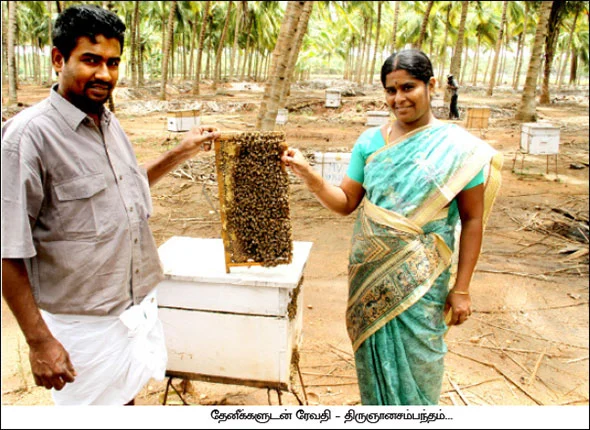 மாதம்தோறும் 1,00,000 தெம்பான வருமானம் தரும் இத்தாலியத் தேனீ !