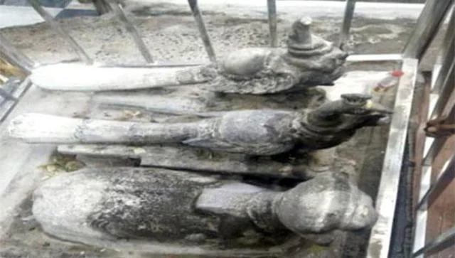 இணை ஆணையர், 5 பேர் மீது வழக்கு பதிவு! - திருச்செந்தூர் கோயிலில் சிலை மாற்றப்பட்ட விவகாரத்தில் திருப்பம்