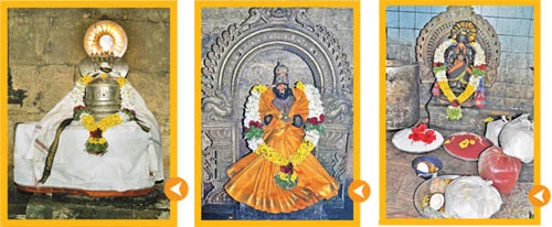பொங்கு சனீஸ்வரருக்கு சிறப்பு பூஜை!