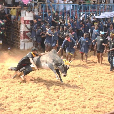 ‘அந்த 430 பேருக்கு வெறும் பொங்கல் வாழ்த்து தான்...’ - களைக்கட்டிய ஈரோட்டின் முதல் ஜல்லிக்கட்டு!