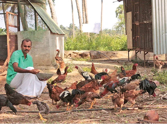 இப்படியும் பண்ணலாம் விவசாயம்… அசத்தும் தமிழக விவசாயிகள்!