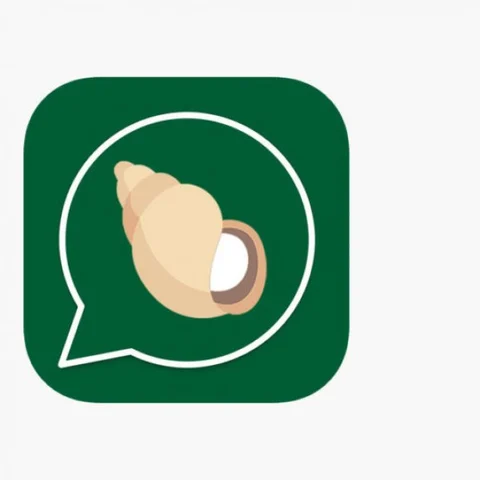 ப்ளே ஸ்டோரில் இருந்து கிம்போ ஆப் காணாமல்போன காரணம் இதுதான்! #KimbhoApp